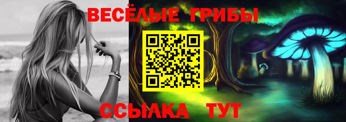 Псилоцибиновые грибы GOLDEN TEACHER  продажа наркотиков  Галлюциногенные грибы GOLDEN TEACHER  Костомукша  Вход с VPN 